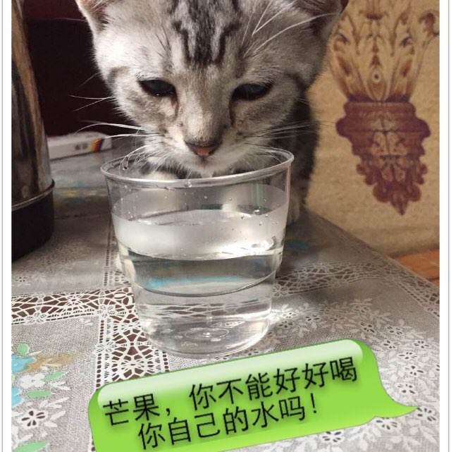 长老会学院硕士offer